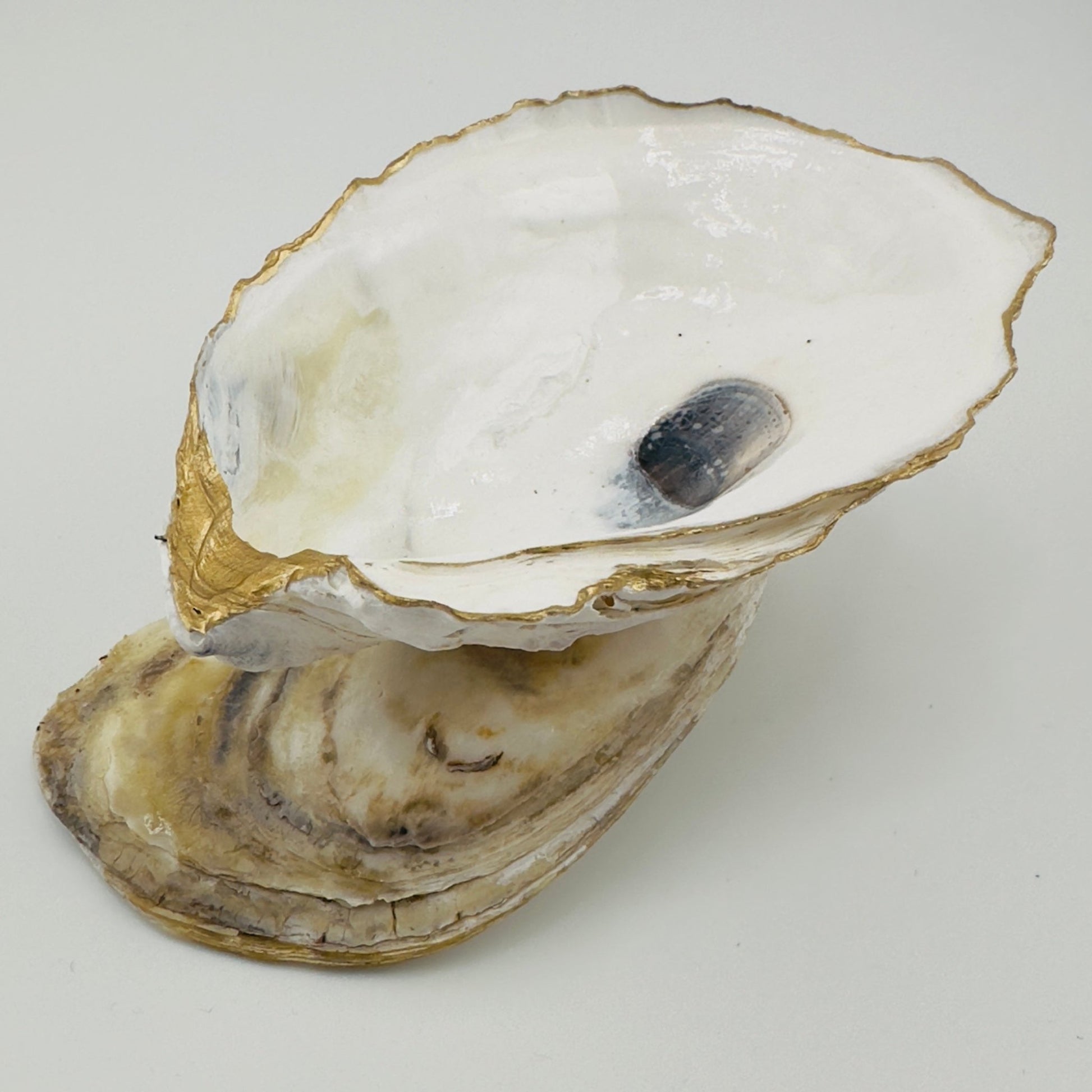 Oyster Trinket Holders - Shell Yeah by Jaks5