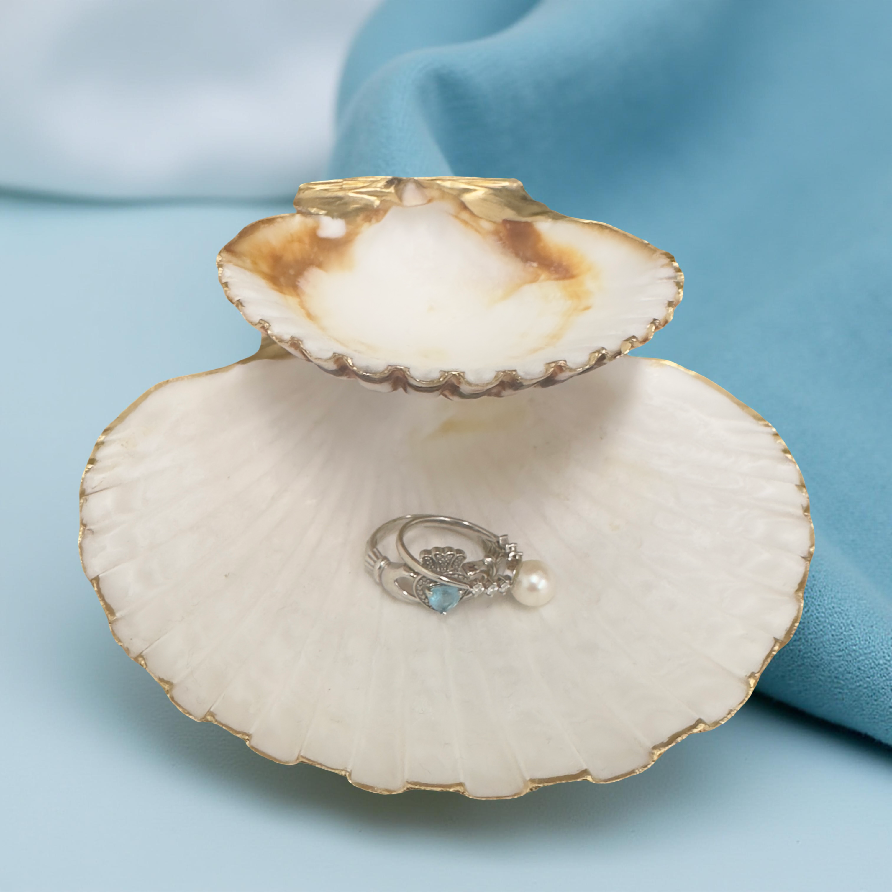 Dual Jewelry Holder - Pearl-Footed Scallop Dish