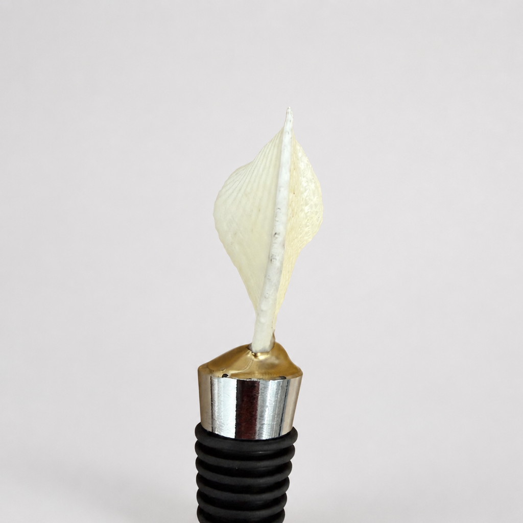 Heart Shaped Cockle Shell Wine Stopper