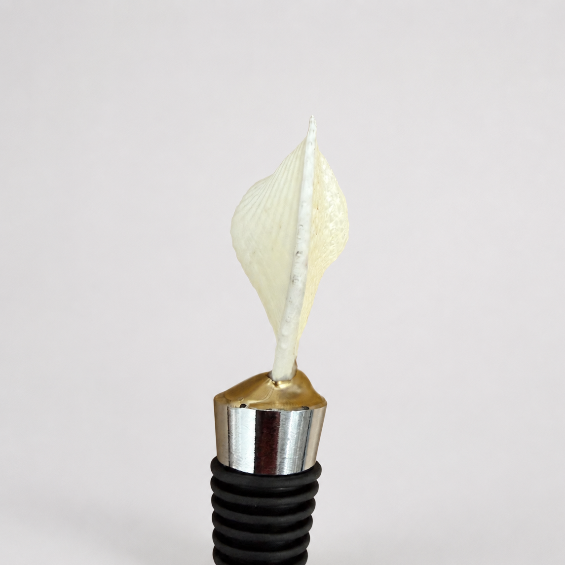 Heart Shaped Cockle Shell Wine Stopper