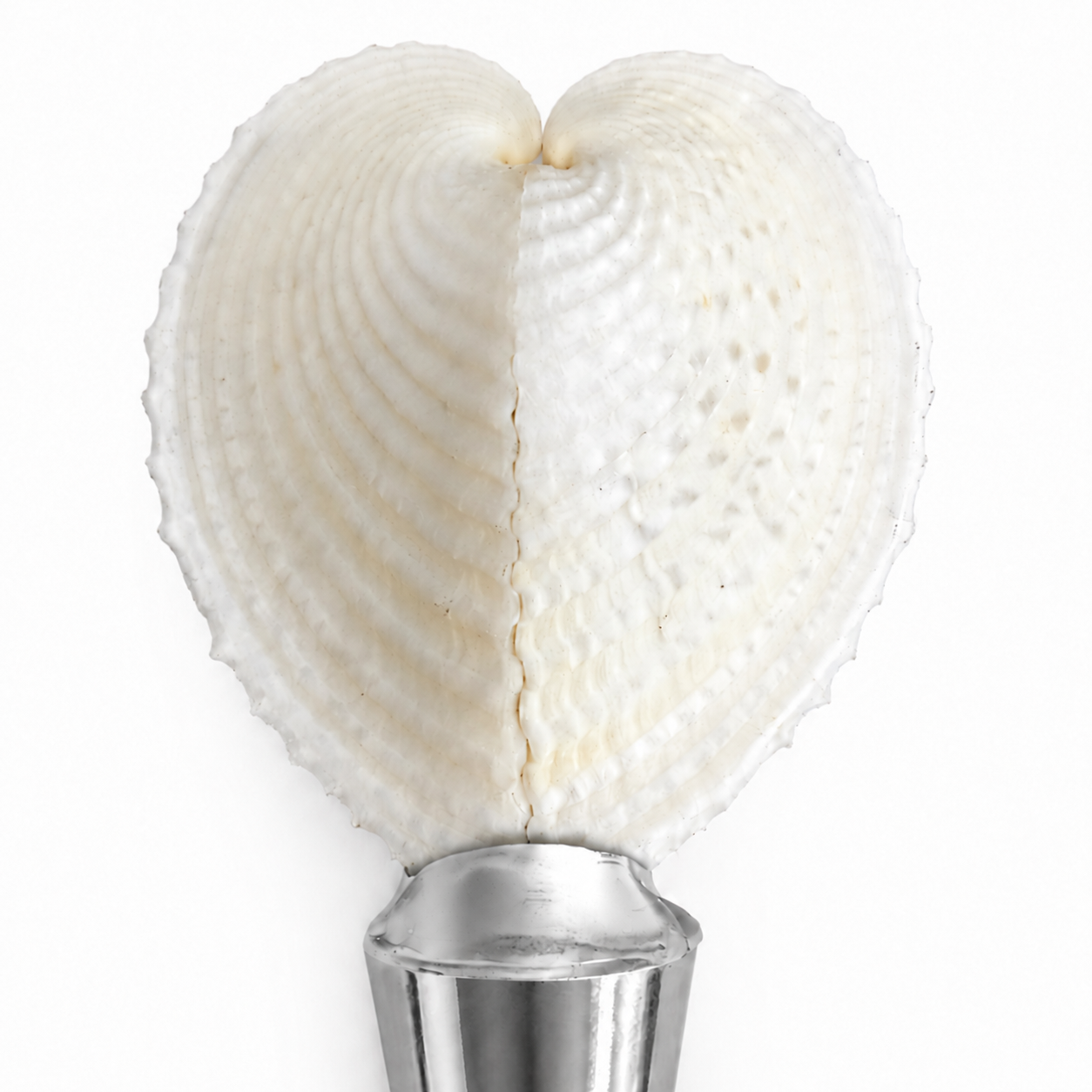 Heart Shaped Cockle Shell Wine Stopper