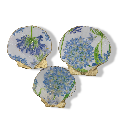 Azure Agapanthus Trinket Scallop Soap Dish