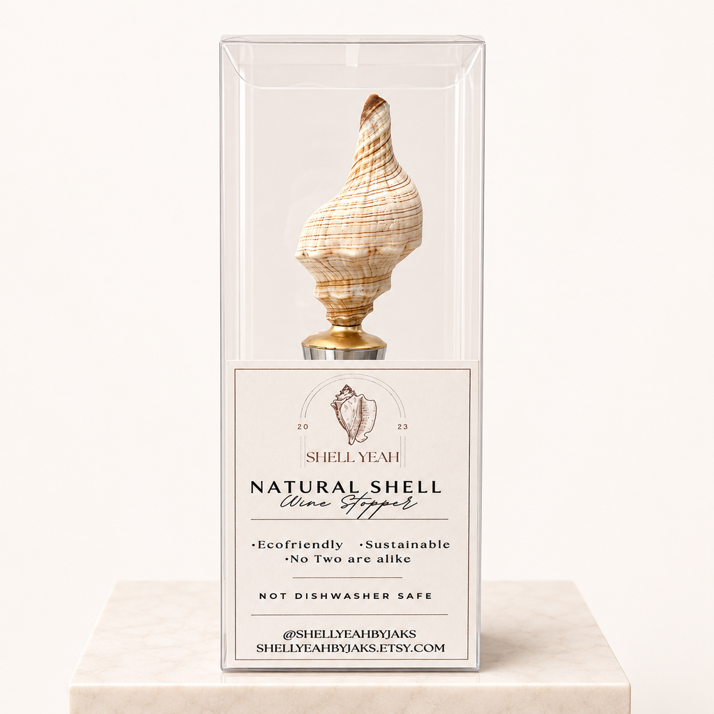 Striped Conch Shell Wine Stopper Gold Base