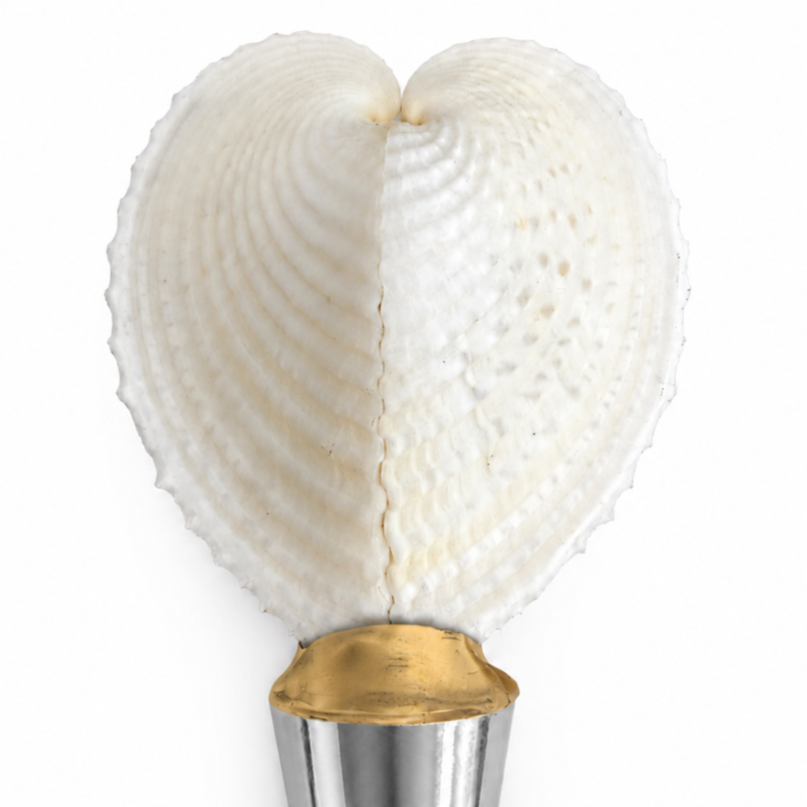 Heart Shaped Cockle Shell Wine Stopper