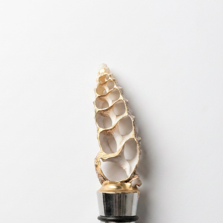 Sliced Spiny Murex Shell Wine Stopper Gold Rim