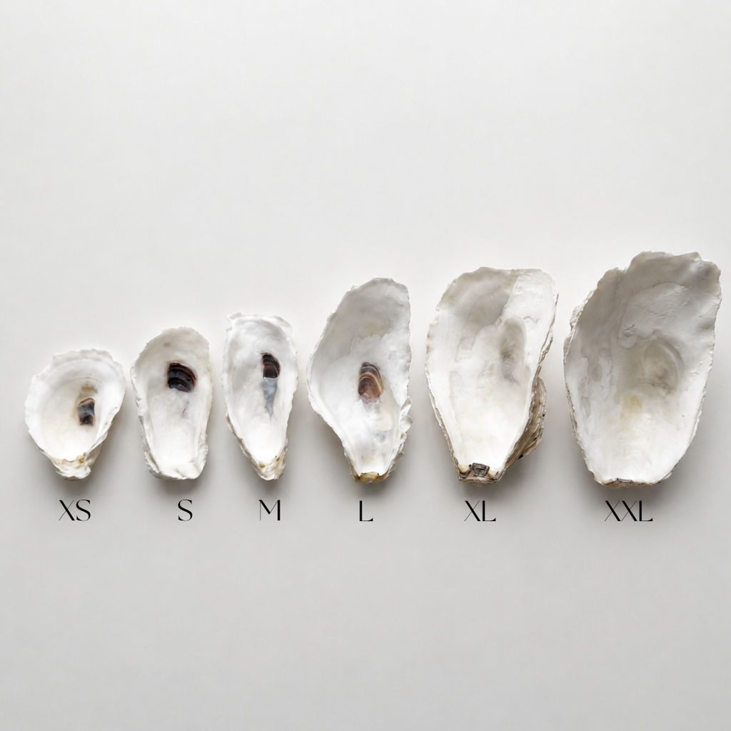 Blue Hydrangea Oyster Shell Jewelry Dish