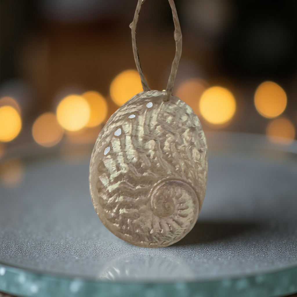 Polished Abalone Ornament