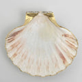 Scallop shell trinket dish with crystal-like glam finish and gold rim