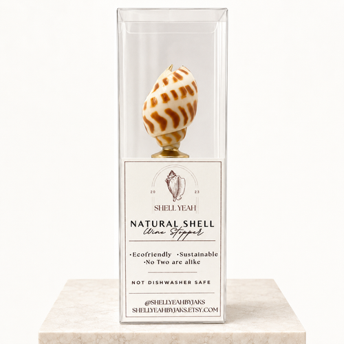 Areola Babylonia Shell Wine Stopper Coastal Gift