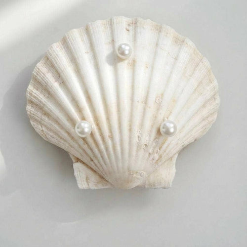 Buzzed Bee Scallop Soap Dish