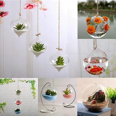 Hanging Ball Glass Flower Planter Vase Terrarium Container Landscape Bottle