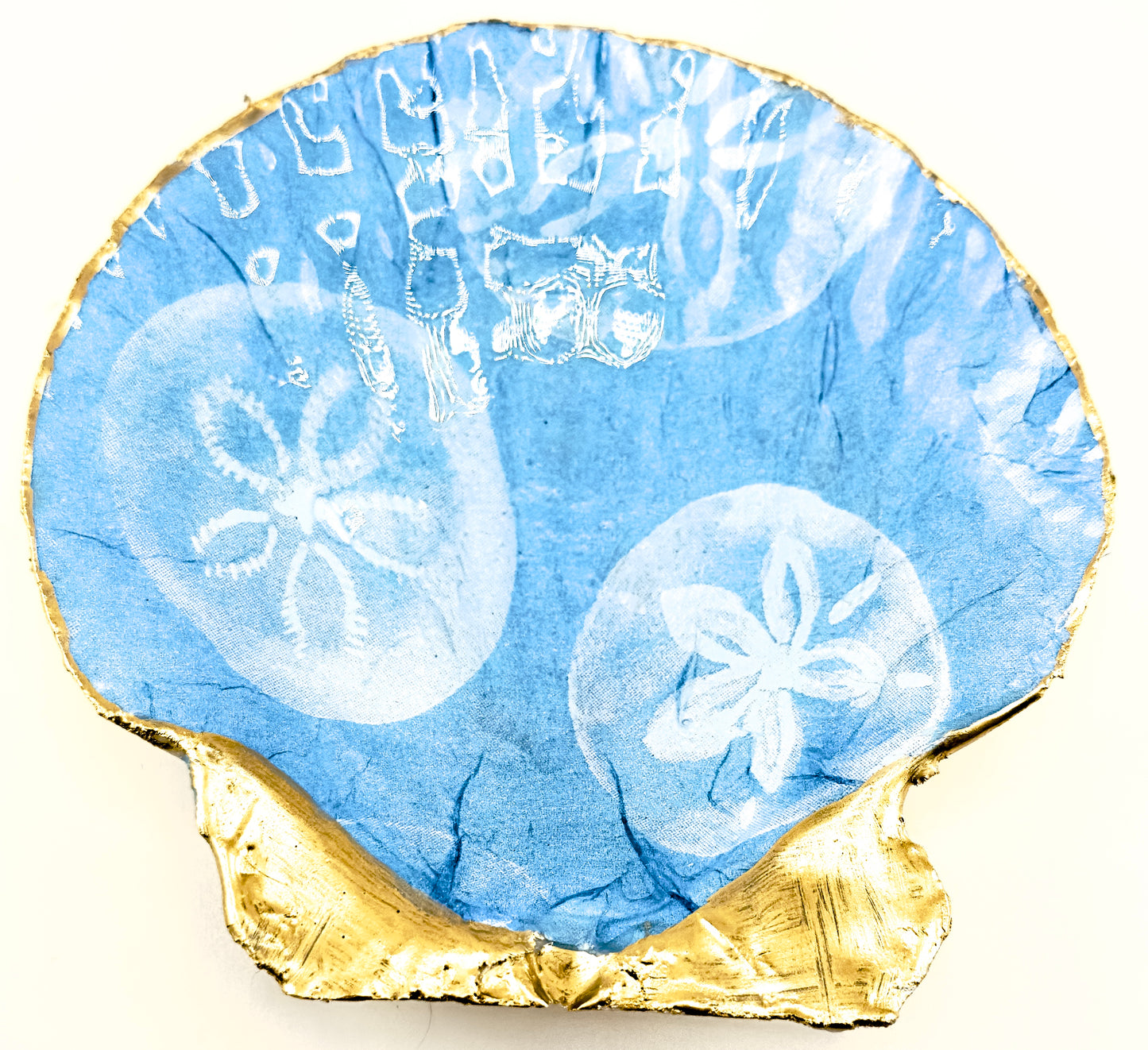 Seaside Sand Dollar Soap Dish