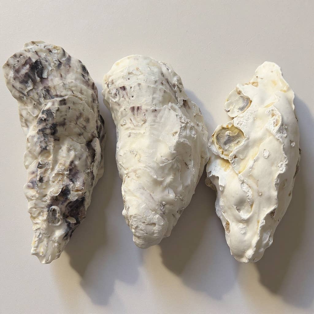 Hydrangea Harbor Ring Oyster Dish