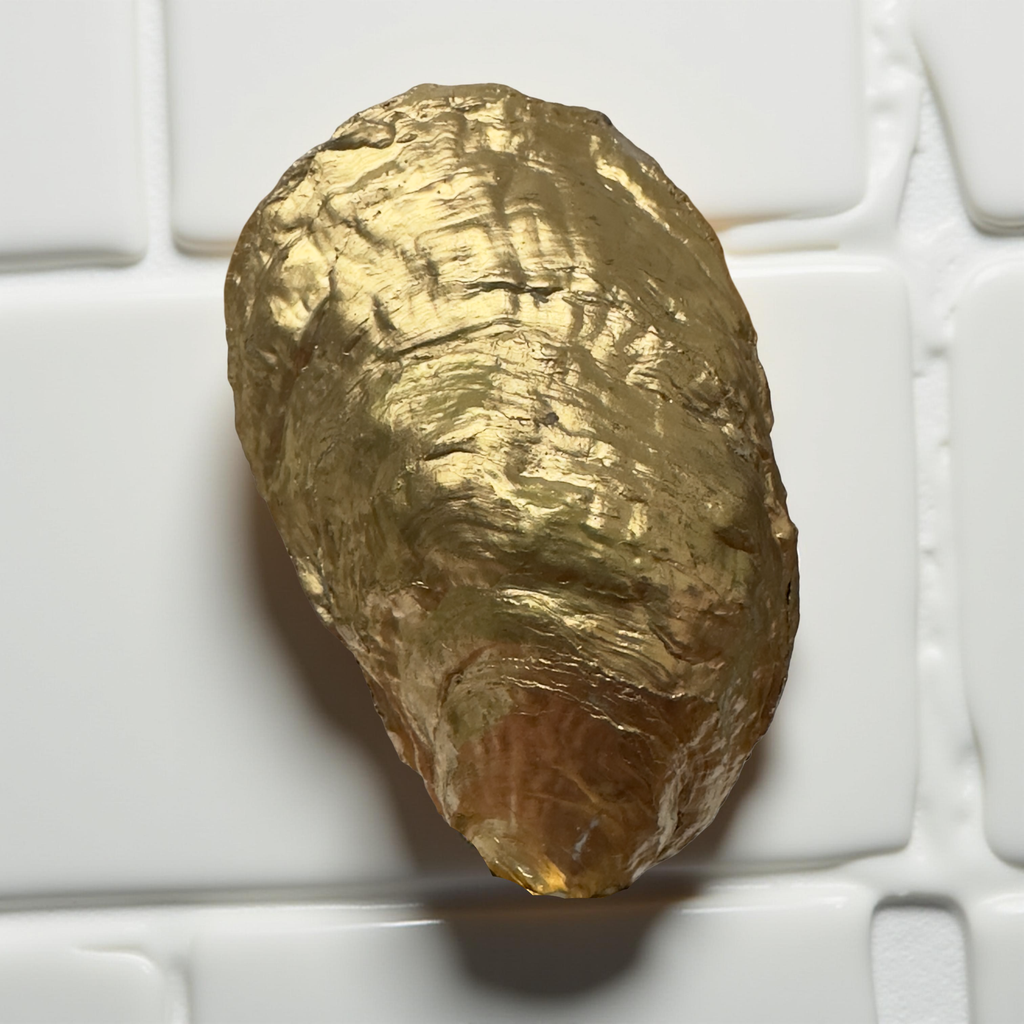 Luminous White Oyster Ornament