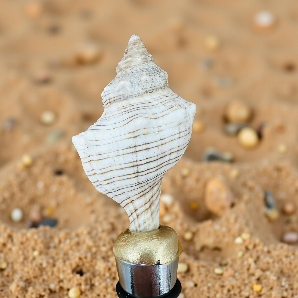 Striped Conch Shell Wine Stopper Gold Base