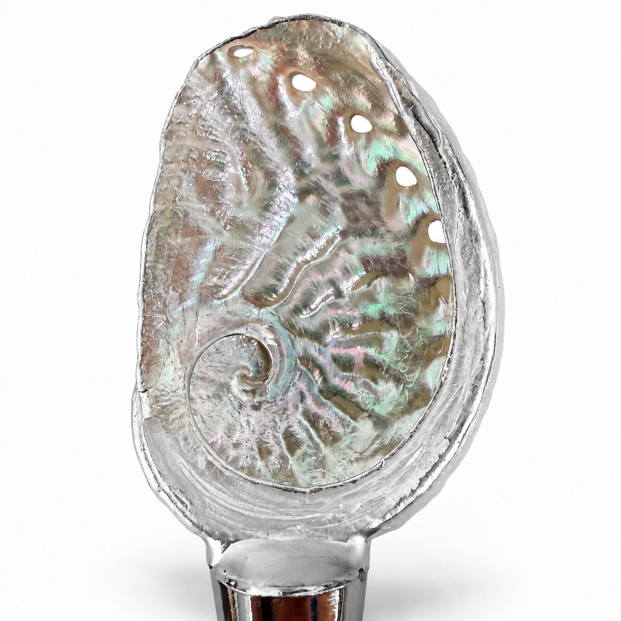Premium Abalone Shell Wine Stopper