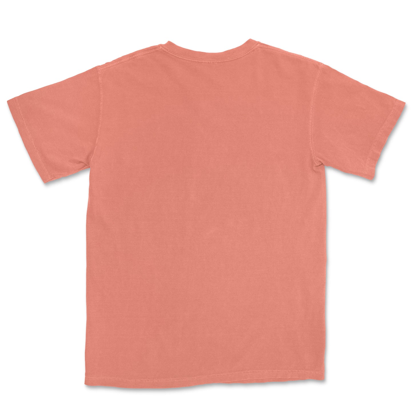 Unisex Comfort Colors® 1717 Heavyweight T-Shirt