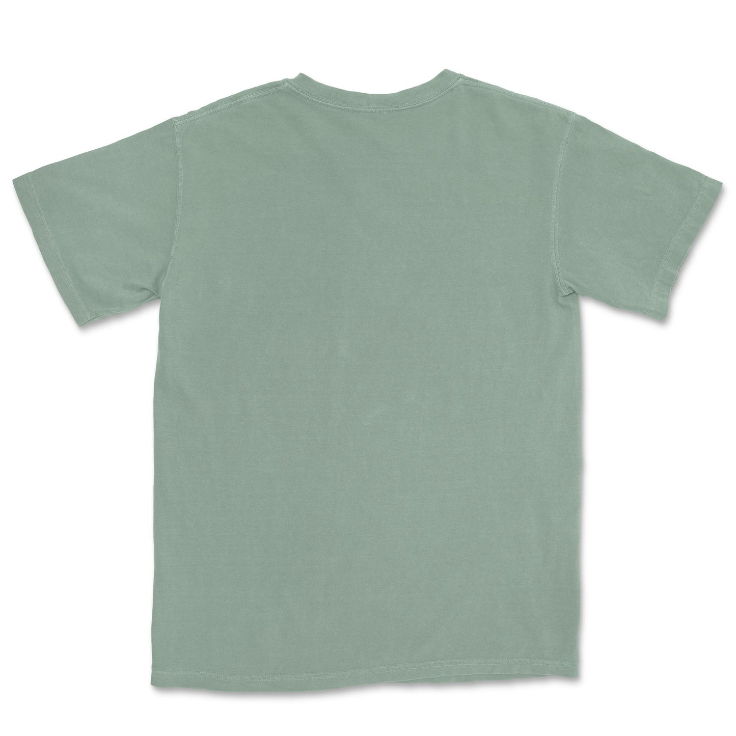 Unisex Comfort Colors® 1717 Heavyweight T-Shirt