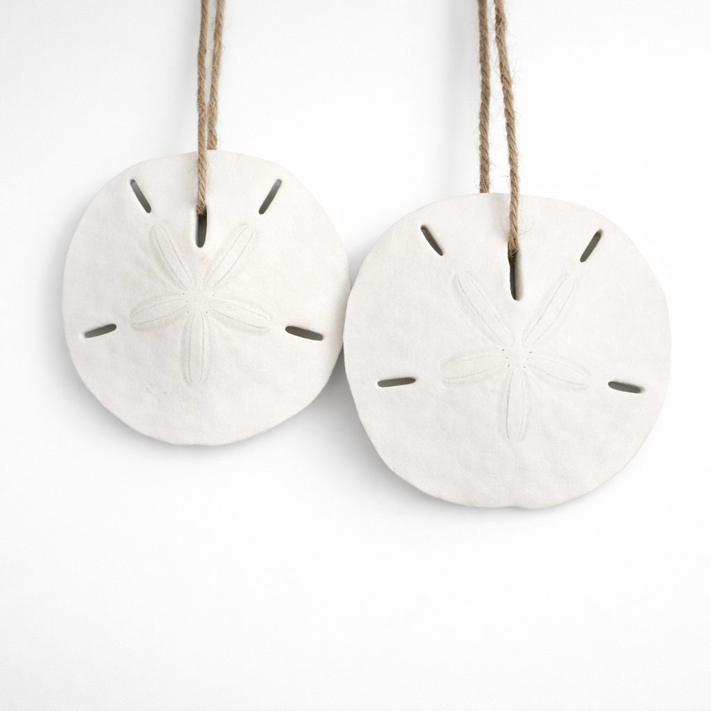 Real Sand Dollar Ornaments
