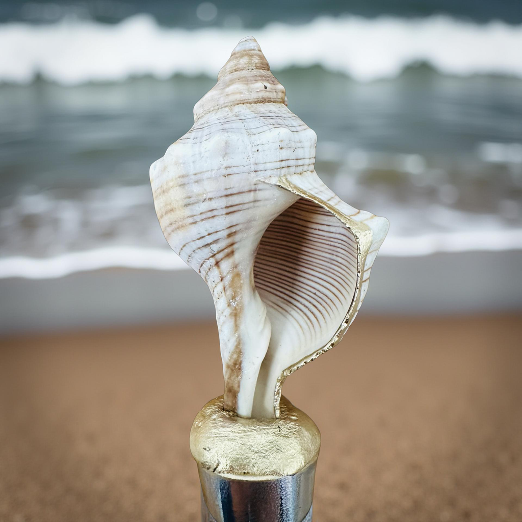 Striped Conch Shell Wine Stopper Gold Base