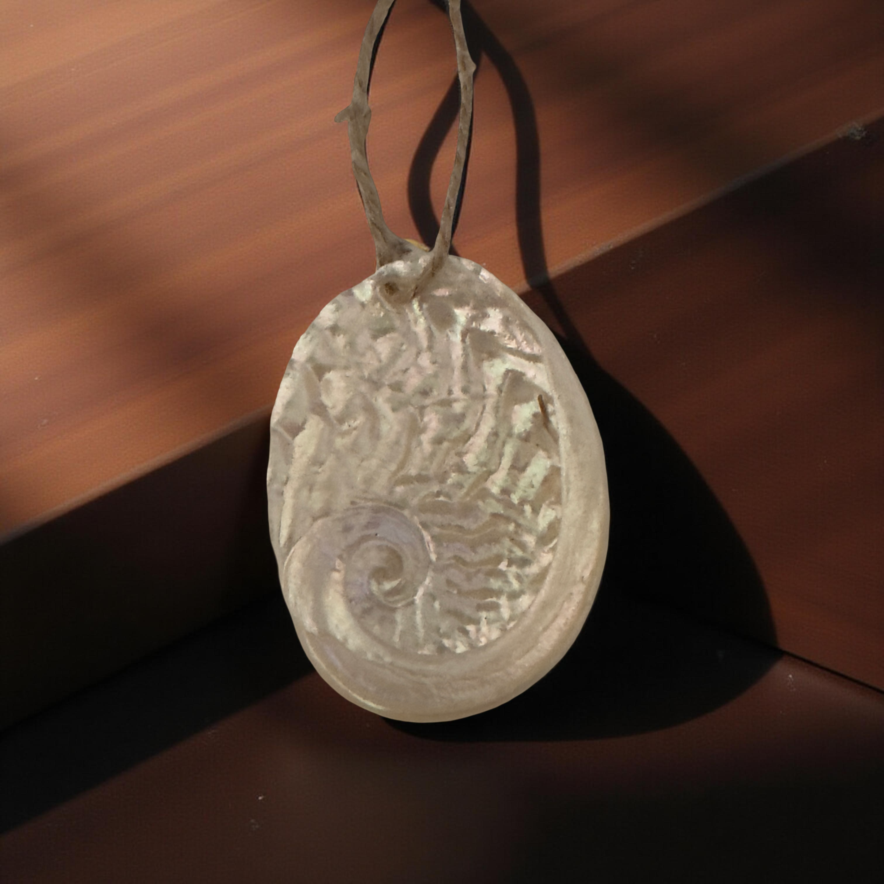 Polished Abalone Ornament