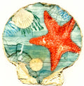 Starfish motif shell soap dish with gold accents