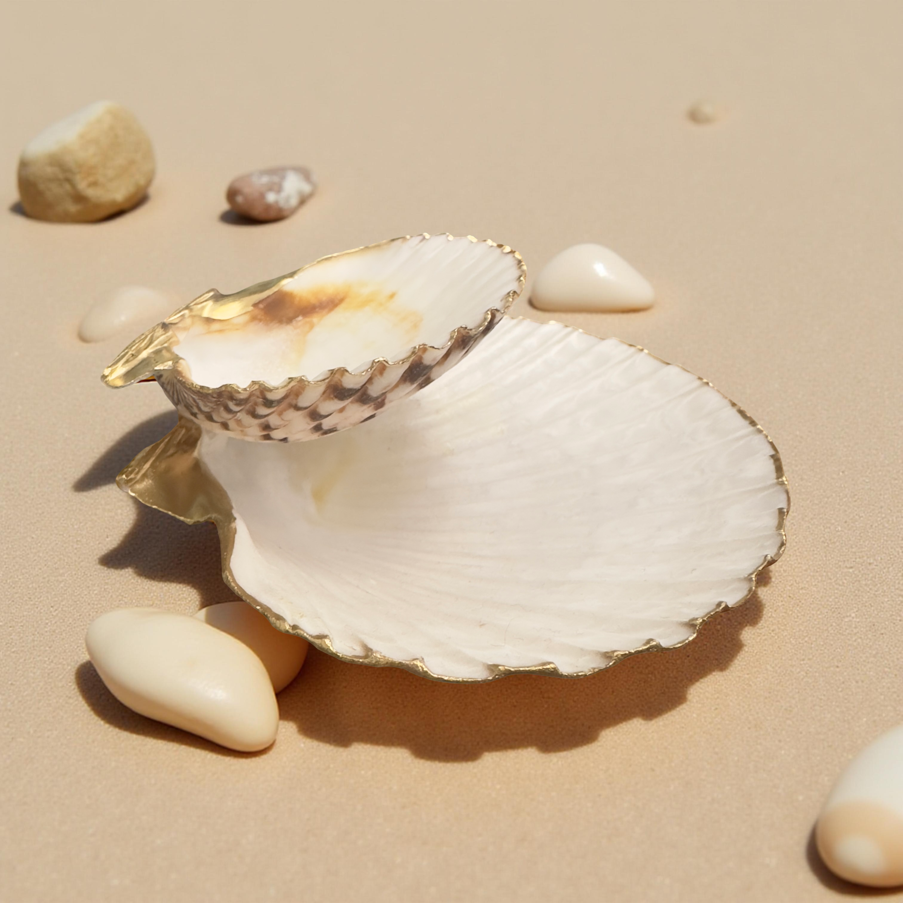 Dual Jewelry Holder - Pearl-Footed Scallop Dish