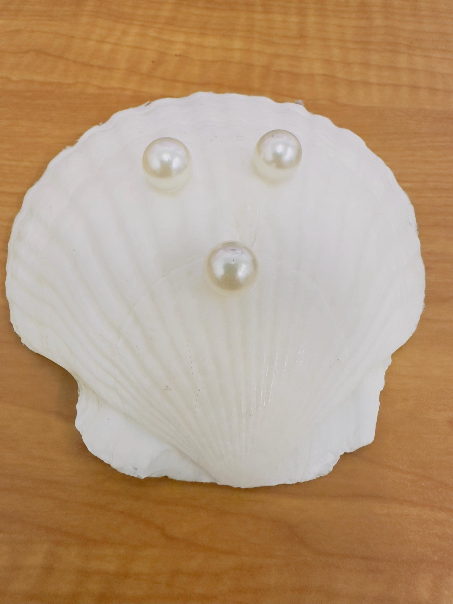 Lemon Grove Scallop Shell Trinket Dish – Gold Rim