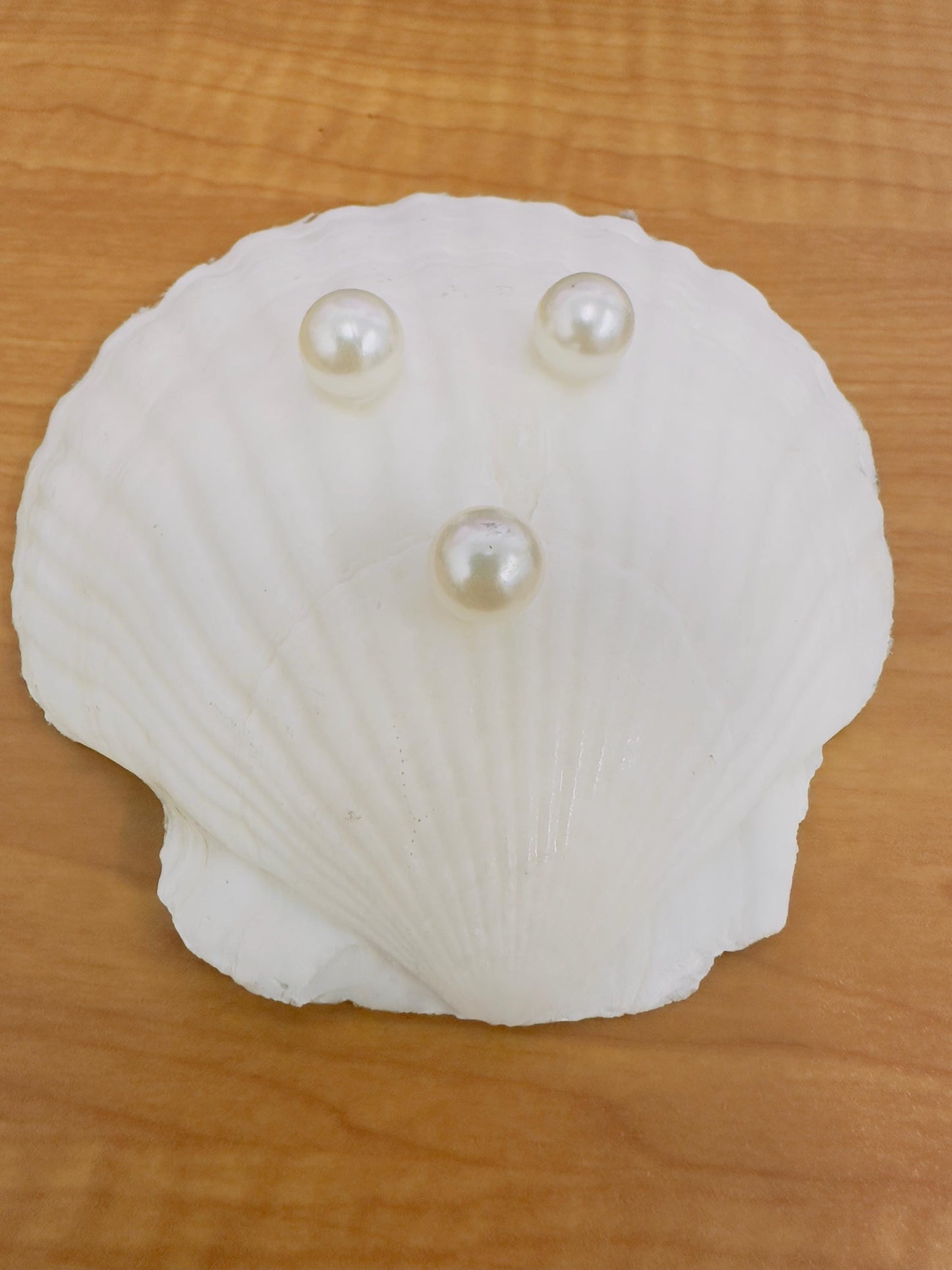 Nautical Anchor Scallop Shell Trinket Dish – Gold Rim
