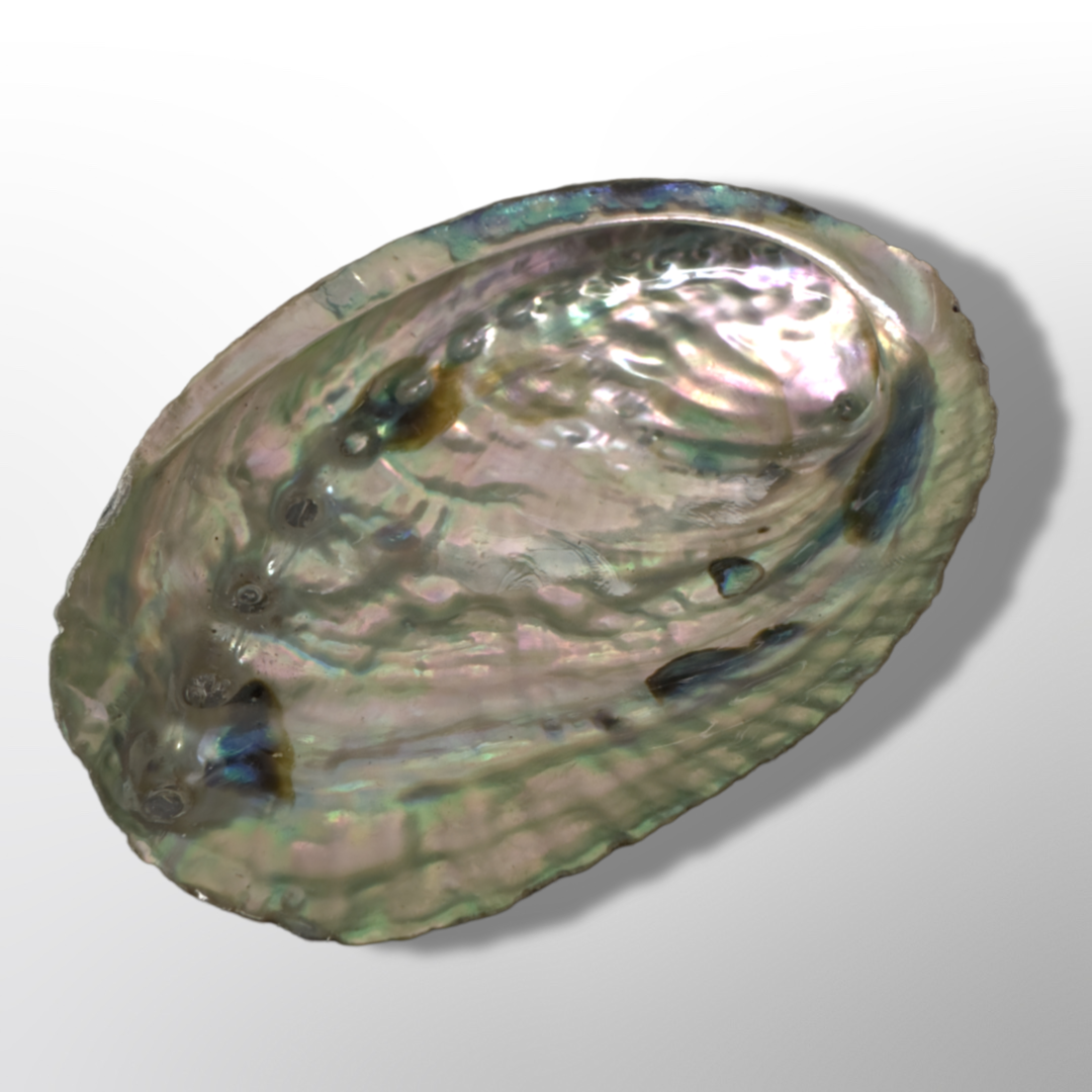 Iridescent Abalone Trinket Dish